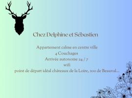 Chez Delphine et Sébastien，位于罗莫朗坦的酒店