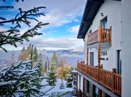 Alpina Deluxe Panoramic