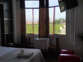 Hotel Pocollay，位于塔克纳的酒店