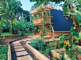 Natural villa Arusha