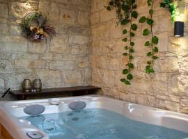 Apanemia Inn Studio，位于洛弗的木屋