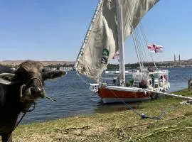 2nights Felucca aswan kOmObo