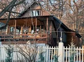 Cozy Wooden House in Kiket'i კიკეთი