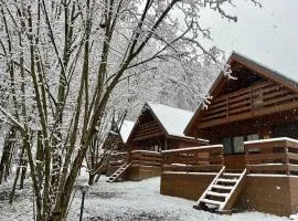 Bieszczady Kameralnie