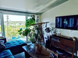 Panoramic view home