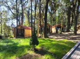Cabañas Vive el Bosque