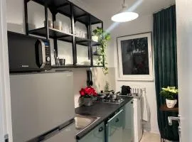 Cosy studio Floreasca