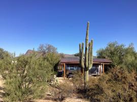 Vintage Airstream Lola Saguaro National Park，位于土桑的豪华帐篷营地