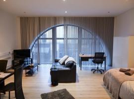 Spacious and Modern Studio Apartment Swansea City Centre，位于斯旺西的酒店