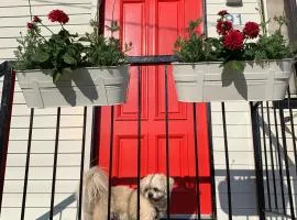 Family and pet friendly home in Brisbane