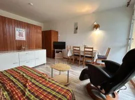 Studio confort 4 pers. à 50m des pistes, Wifi, animaux admis - FR-1-525-291