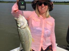 Mlibizi Zambezi Resort，位于Binga的住宿