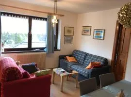 Suite Marco nice apartment in Cavalese with View