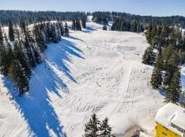 Apartment 112 Ski-in Ski-out