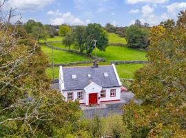 Lough Mask Fishing Cottage，位于巴林罗布的酒店