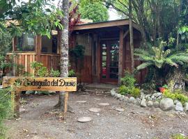 Cabañas Los Cantos del Chucao，位于巴拉斯港的酒店