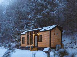 Sage House at Camp Greenwood Vermont with Sauna，位于Chester的酒店