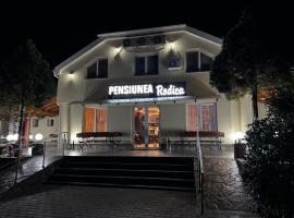 Pensiunea Rodica，位于讷德拉克的酒店