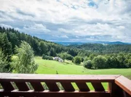 Kocurzonka Apartamenty