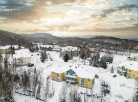 Ski In Out view on Mont-Blanc hills - Le Loup
