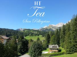 TEA San Pellegrino - DOLOMITI，位于法尔西德的酒店
