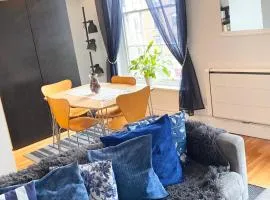 Beautiful Apartment in Temple Bar