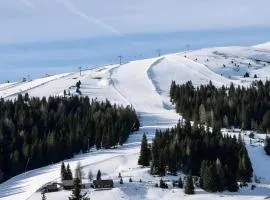 Edelweiß Gästehaus Lachtal