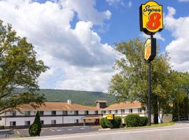 伯纳姆/刘易斯敦速8酒店，位于Burnham的酒店