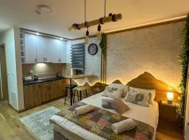Apartment D248- aparthotel Vucko