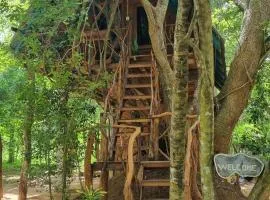 Ali Adi Eco Tree House