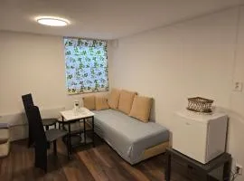 Beautiful 2 rooms apartment in kløfta,near oslo airport& oslo