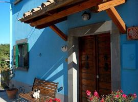 Green House - Blue House，位于Civitella dʼAgliano的度假屋
