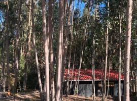 Casa Eucalipto，位于Firavitoba的露营地