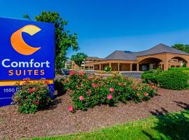 Comfort Suites Chesapeake - Norfolk，位于切萨皮克的酒店