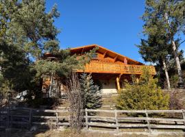 Chalet avec Spa Magnifique vue，位于巴斯洛内特的酒店