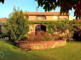 博尔戈广场乡村民宿