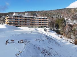 Radisson Hotel Szklarska Poręba，位于斯克拉斯卡波伦巴的宠物友好酒店