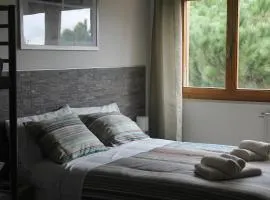 VACANZA A CASA - Gallicano