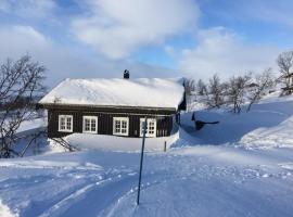 Charming cabin in beautiful Ustaoset，位于于斯塔奥瑟特的酒店