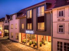 Stadthotel Reich，位于梅尔里希斯塔特的酒店
