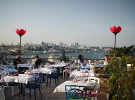 Raymond Hotel Old City，位于伊斯坦布尔的酒店