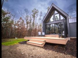Gorgeous Modern Chalet In The Woods，位于Wellston的木屋