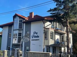 Apartamenty Przy Potoku，位于Ratno Dolne的酒店
