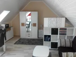 1 Zimmer Apartment mit Kochecke und Bad