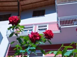 Appartamento Pettirosso