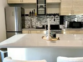 Contemporary Downtown Condo