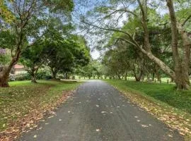 Cosy Golf Course Retreat in Tamborine Mountain with Wifi & Aircon