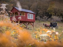 Valea Verde Retreat Transilvania，位于Cund的酒店