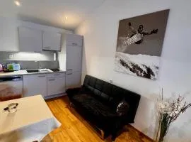 Kleine, nette Ferienwohnung, nahe Ski - und Wanderlift!