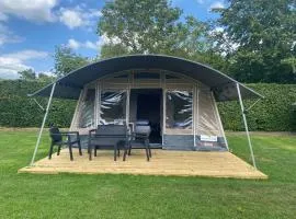 Lodge tent hondje met privé sanitair